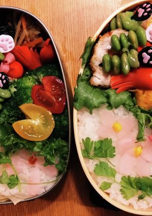 曲げわっぱ弁当VSステンレス製弁当高校生-レシピのメイン写真