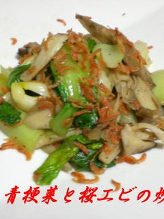 青梗菜と桜エビの炒め-レシピのメイン写真