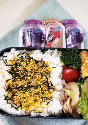 豚肉と春キャベツ炒め弁当(4.27)-レシピのメイン写真