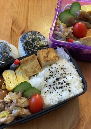 高校生男子弁当305 女子弁当15-レシピのメイン写真
