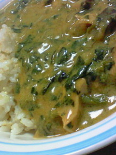 ルーで作るほうれん草のココナッツカレー-レシピのメイン写真