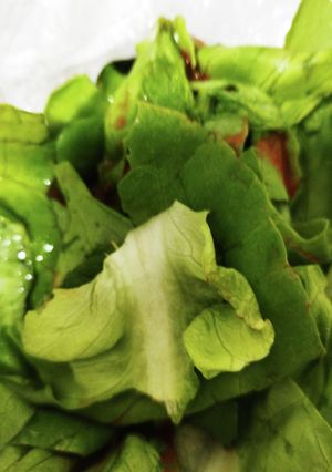 サラダ菜のキムチの素の和え物-レシピのメイン写真
