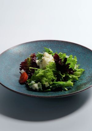 久美浜町産モッツァレラと丹後野菜のサラダ-レシピのメイン写真