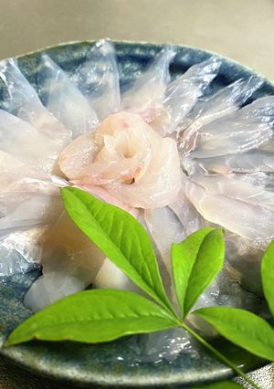 捌いてみた・カワハギの薄造り-レシピのメイン写真