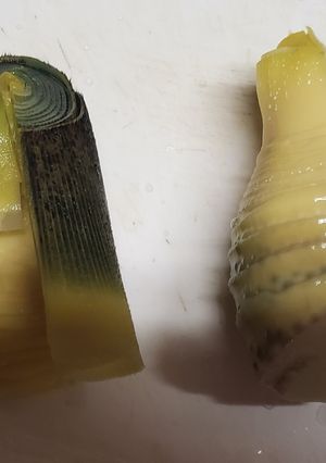 掘りたて筍の簡単あく抜き-レシピのメイン写真