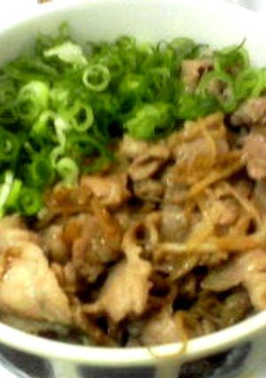 簡単!さっぱり豚丼ねぎまみれ-レシピのメイン写真