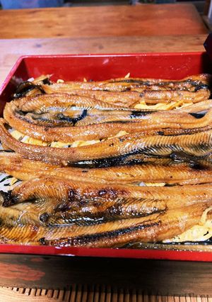 #ご当地グルメ家族で穴子寿司-レシピのメイン写真