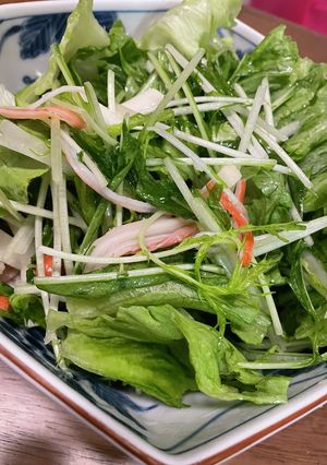 シャキシャキサラダ-レシピのメイン写真