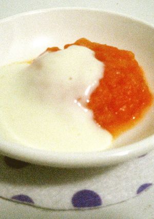 離乳食　野菜のホワイトソースがけ-レシピのメイン写真