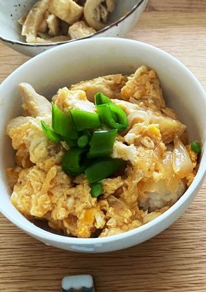 卵焼き器で作る親子丼-レシピのメイン写真