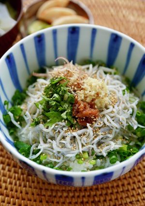 薬味いろいろ☆しらす丼-レシピのメイン写真
