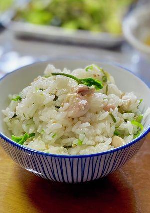 コシアブラ混ぜご飯-レシピのメイン写真
