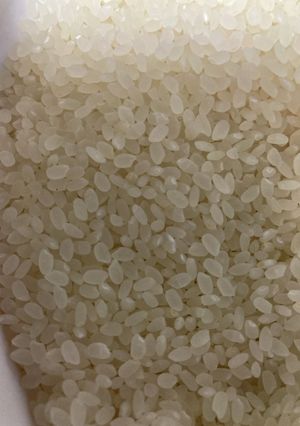 ご飯に芯が残ったらきりたんぽ-レシピのメイン写真