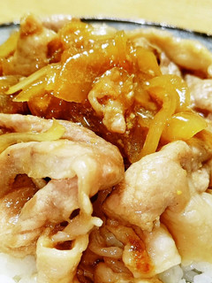 綾ポークde豚丼♪-レシピのメイン写真