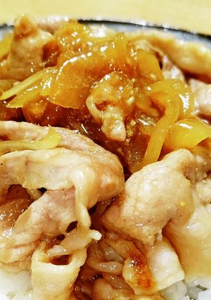 綾ポークde豚丼♪-レシピのメイン写真
