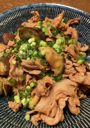 豚肉とナスの甜麺醤炒め-レシピのメイン写真