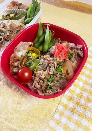 20230501娘ちゃんのお弁当-レシピのメイン写真