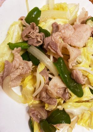 味噌と姜葱醤の肉野菜炒め-レシピのメイン写真