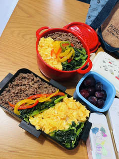 高校生息子弁当 覚書 そぼろ4色丼-レシピのメイン写真