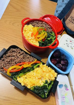 高校生息子弁当 覚書 そぼろ4色丼-レシピのメイン写真