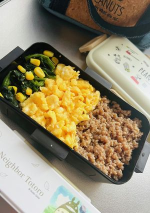 高校生男子弁当 定番そぼろ-レシピのメイン写真