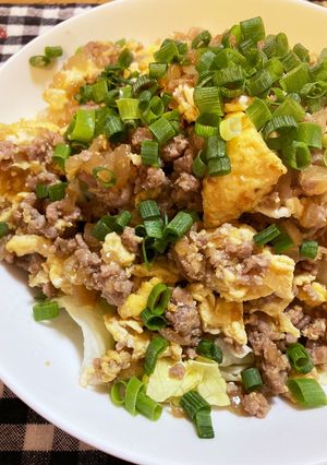 豚ひき肉の卵炒め-レシピのメイン写真