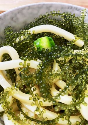 秋野菜の海ぶどうぶっかけうどん-レシピのメイン写真