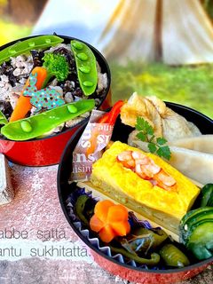 令和五年 皐月二日 お弁当-レシピのメイン写真