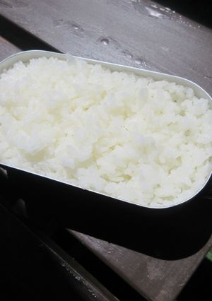 メスティンでご飯！-レシピのメイン写真