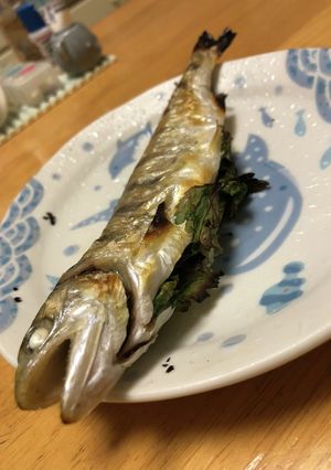 アマゴのかんたん香草焼き！-レシピのメイン写真