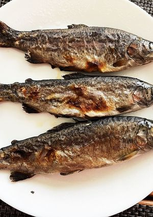 マスの塩焼き-レシピのメイン写真
