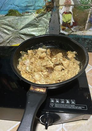 胸肉でも柔らかい材料シンプル親子丼-レシピのメイン写真
