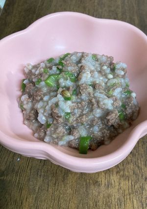 わんこ　馬肉とろとろおじや-レシピのメイン写真