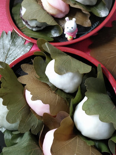 こどもの日♡かしわ餅3種類作りました-レシピのメイン写真