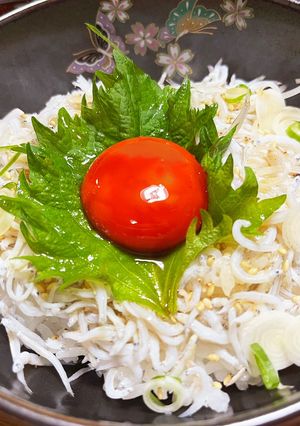 しらす丼の漬け卵黄のせ-レシピのメイン写真