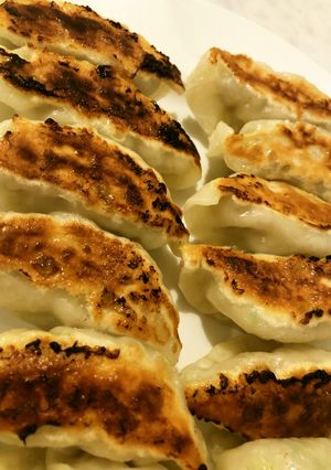 春キャベツの餃子-レシピのメイン写真