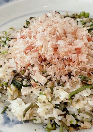 コシアブラ炒めご飯-レシピのメイン写真
