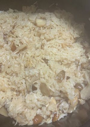 きのこの炊き込みご飯ホットクック・炊飯器-レシピのメイン写真