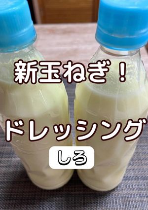 新玉ねぎドレッシング 白-レシピのメイン写真