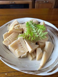 竹の子の煮物-レシピのメイン写真