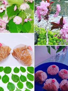 #超簡単炊飯器で桜餅 #食紅いらない-レシピのメイン写真