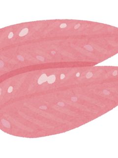 ささみ味噌焼き-レシピのメイン写真