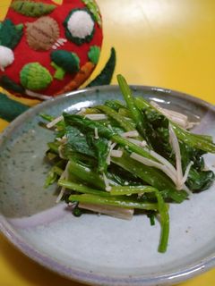 ほうれん草とえのきのごま和え-レシピのメイン写真