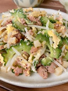 クッキングハッシュともやしのゴーヤー炒め-レシピのメイン写真
