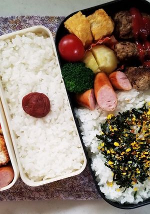 ササミカツ&ハンバーグ弁当(5.8)-レシピのメイン写真