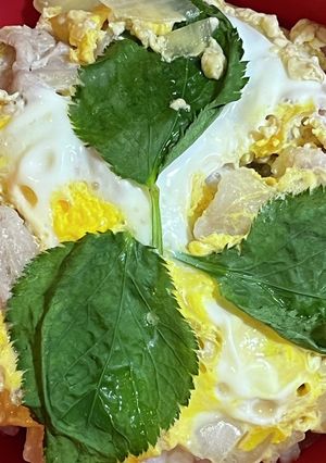 100均で他人丼（超時短）-レシピのメイン写真