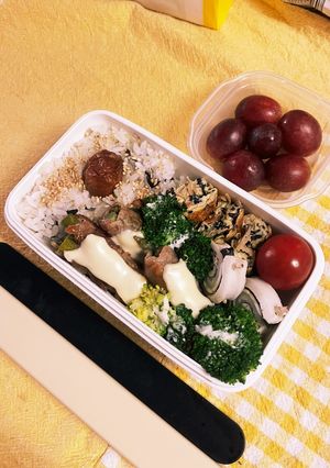 20230509娘ちゃんのお弁当-レシピのメイン写真