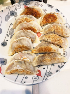 余ったカレーで簡単リメイク餃子-レシピのメイン写真