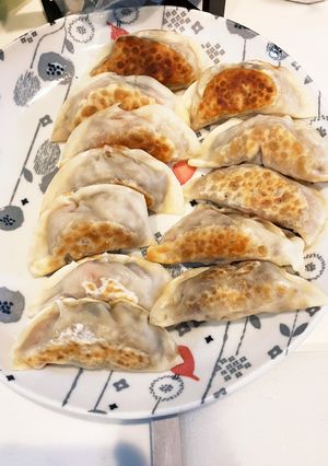余ったカレーで簡単リメイク餃子-レシピのメイン写真