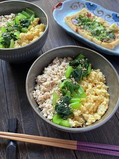 高野豆腐入り鶏そぼろ丼-レシピのメイン写真
